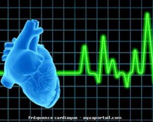 Pourquoi le cœur bat-il grâce à l’électricité, et comment un défibrillateur peut-il le sauver ?